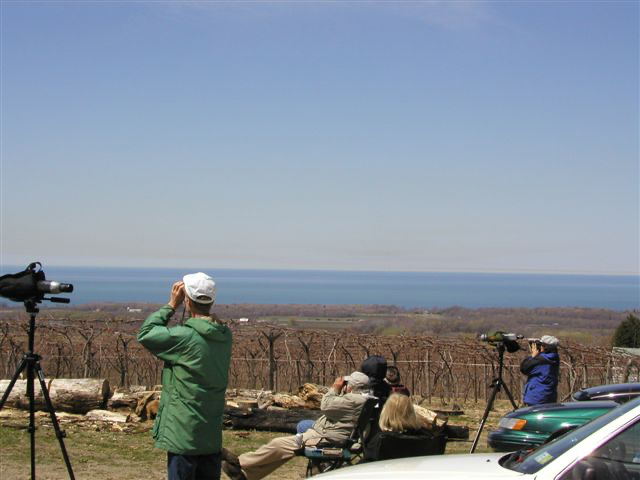 photo of counters at the Ripley Hawk Watch