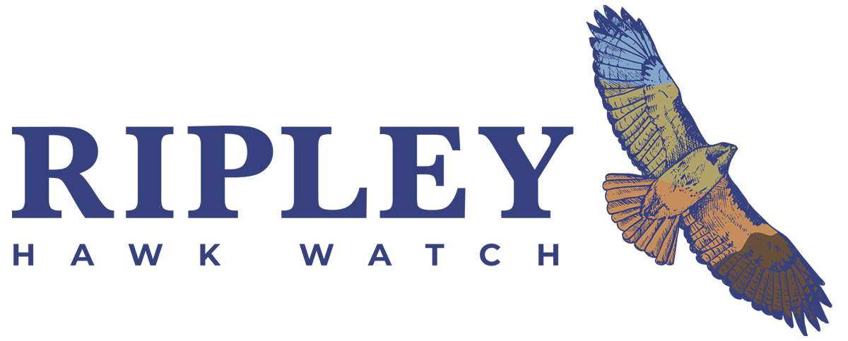 ripley hawkwatch logo