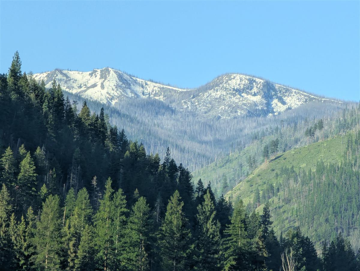 Slide61