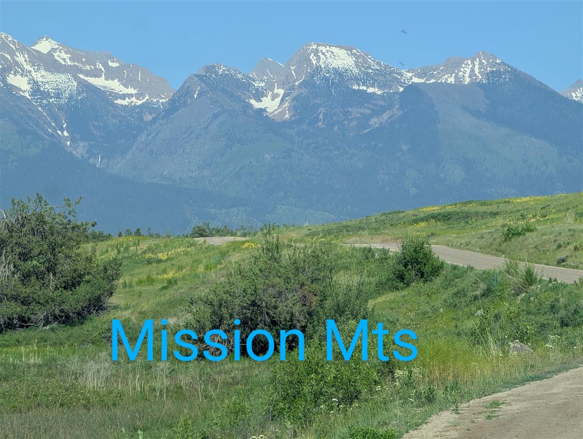 Slide65
