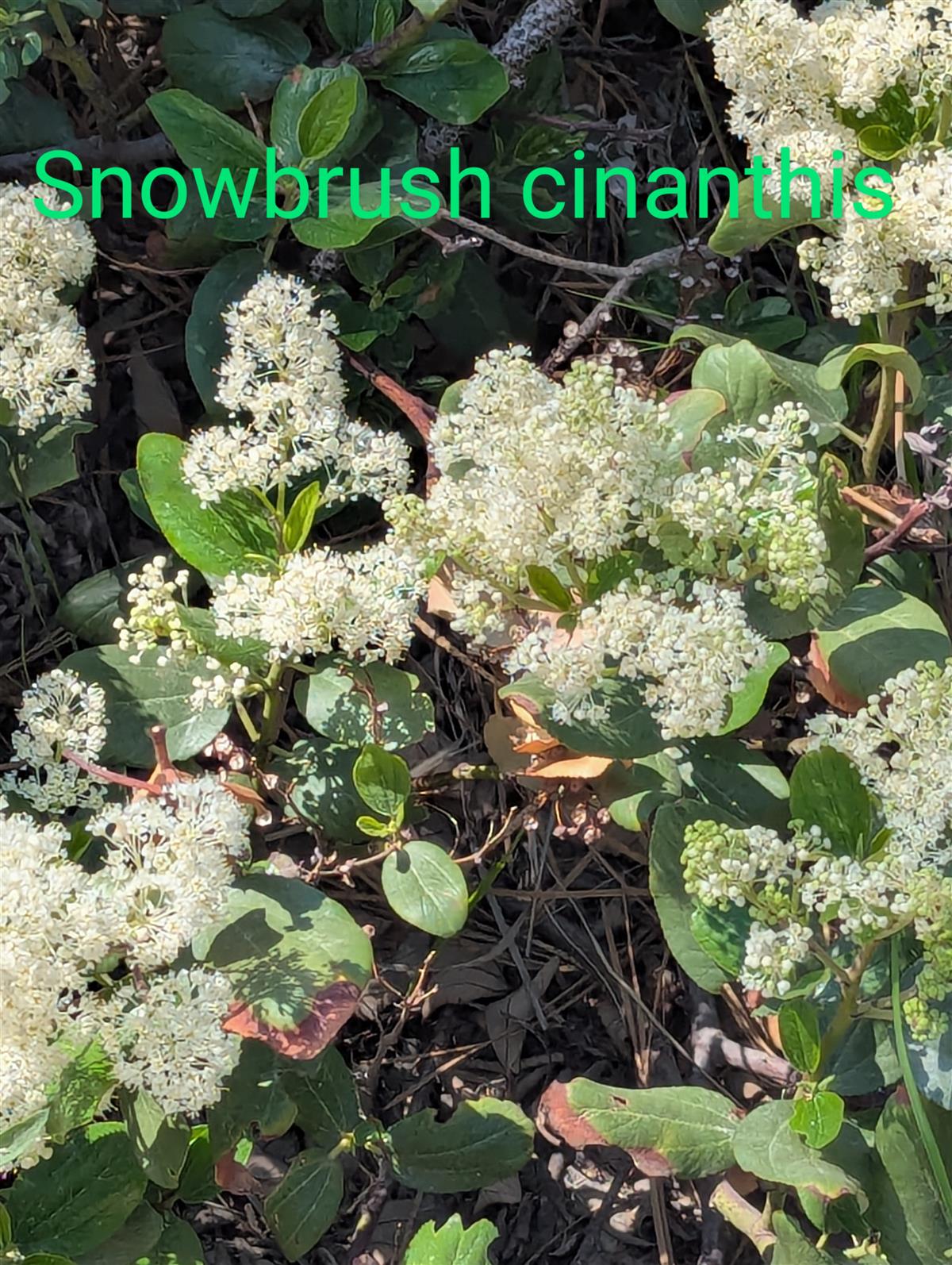 Slide71